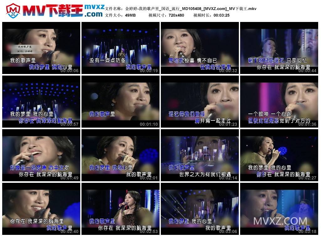 金婷婷-我的歌声里_国语_流行_MD105408